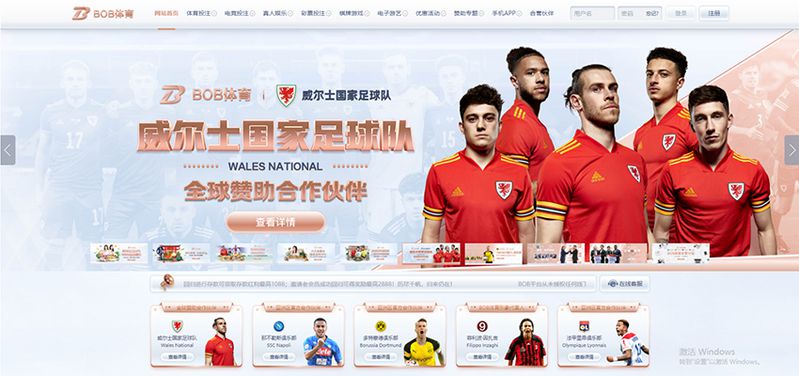 B双赢娱乐 - 德甲多特蒙德官方合作伙伴 2 B双赢娱乐简介